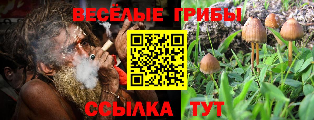 Псилоцибиновые грибы мицелий  Галлюциногенные грибы мухоморы  Вход с VPN  Кунгур 